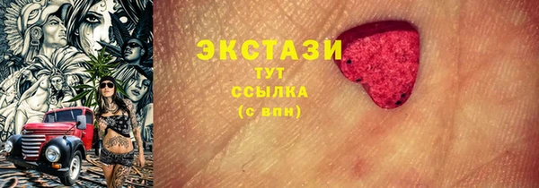 дживик Инта